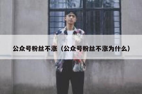 公众号粉丝不涨（公众号粉丝不涨为什么） 第1张