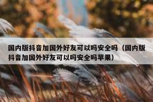 国内版抖音加国外好友可以吗安全吗（国内版抖音加国外好友可以吗安全吗苹果） 第1张