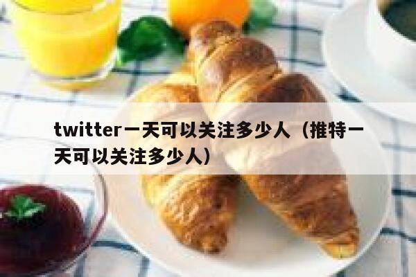 twitter一天可以关注多少人（推特一天可以关注多少人） 第1张