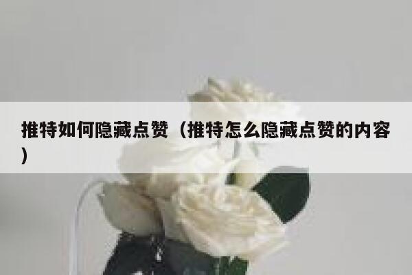 推特如何隐藏点赞（推特怎么隐藏点赞的内容） 第1张