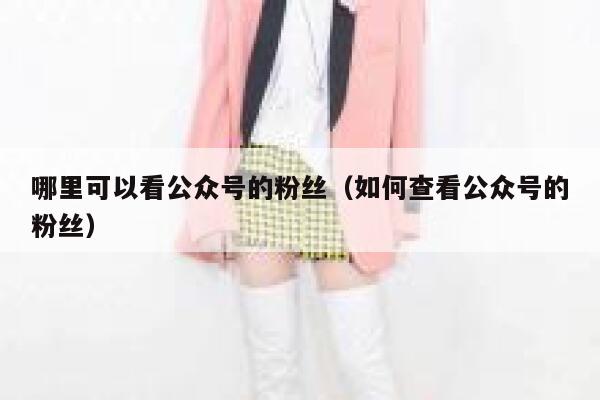 哪里可以看公众号的粉丝（如何查看公众号的粉丝） 第1张