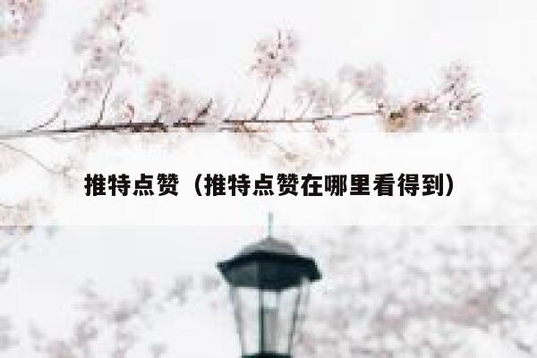 推特点赞（推特点赞在哪里看得到） 第1张