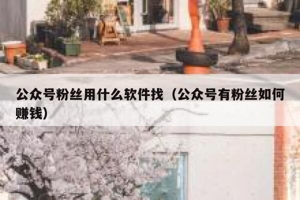 公众号粉丝用什么软件找（公众号有粉丝如何赚钱） 第1张