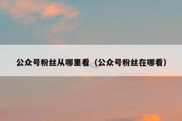 公众号粉丝从哪里看（公众号粉丝在哪看） 第1张