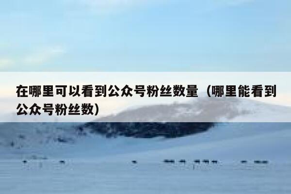 在哪里可以看到公众号粉丝数量(哪里能看到公众号粉丝数) 第1张 在哪里可以看到公众号粉丝数量(哪里能看到公众号粉丝数) 第1张