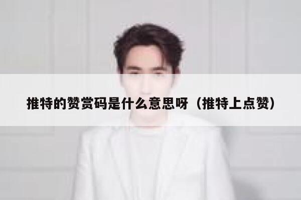 推特的赞赏码是什么意思呀（推特上点赞） 第1张