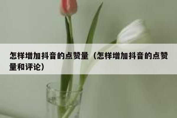 怎样增加抖音的点赞量（怎样增加抖音的点赞量和评论） 第1张