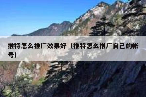 推特怎么推广效果好(推特怎么推广自己的帐号) 第1张 推特怎么推广效果好(推特怎么推广自己的帐号) 第1张
