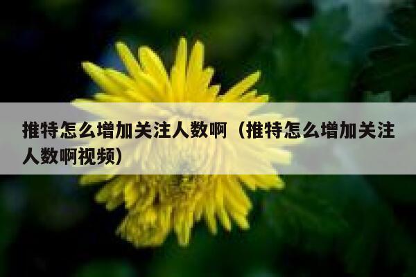 推特怎么增加关注人数啊(推特怎么增加关注人数啊视频) 第1张 推特怎么增加关注人数啊(推特怎么增加关注人数啊视频) 第1张
