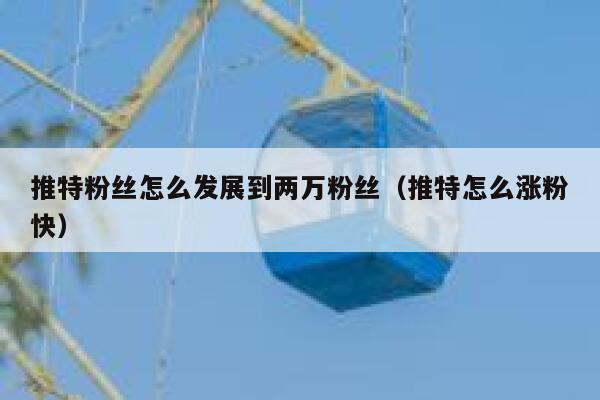 推特粉丝怎么发展到两万粉丝（推特怎么涨粉快） 第1张