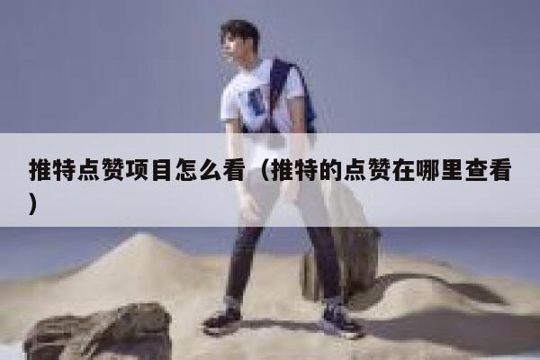 推特点赞项目怎么看（推特的点赞在哪里查看） 第1张