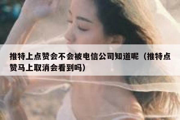 推特上点赞会不会被电信公司知道呢（推特点赞马上取消会看到吗） 第1张