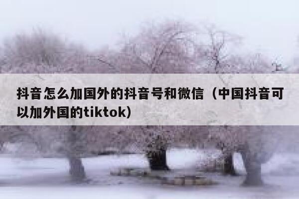 抖音怎么加国外的抖音号和微信（中国抖音可以加外国的tiktok） 第1张