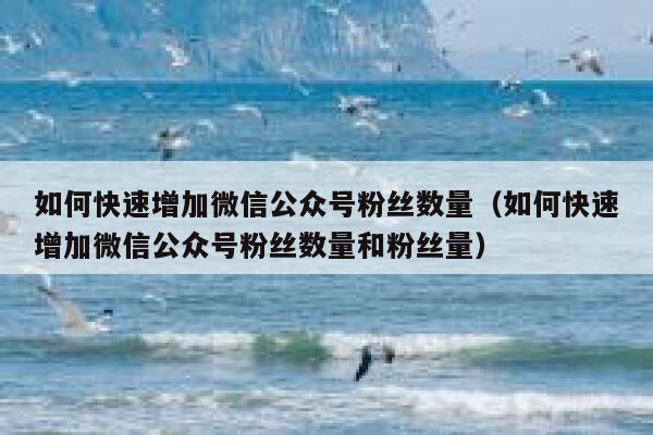 如何快速增加微信公众号粉丝数量（如何快速增加微信公众号粉丝数量和粉丝量） 第1张