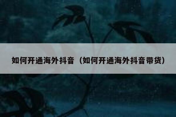 如何开通海外抖音（如何开通海外抖音带货） 第1张