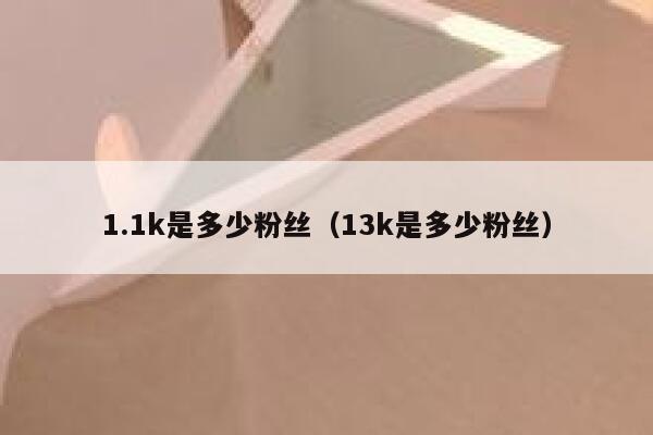 1.1k是多少粉丝（13k是多少粉丝） 第1张