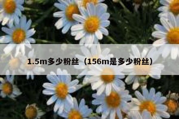 1.5m多少粉丝（156m是多少粉丝） 第1张