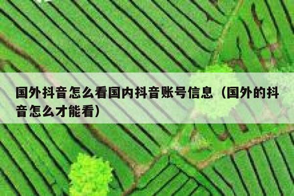 国外抖音怎么看国内抖音账号信息（国外的抖音怎么才能看） 第1张