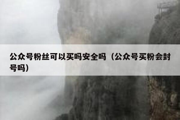 公众号粉丝可以买吗安全吗（公众号买粉会封号吗） 第1张