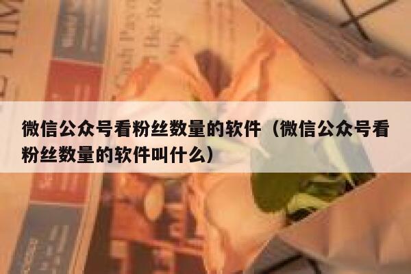 微信公众号看粉丝数量的软件(微信公众号看粉丝数量的软件叫什么) 第1张 微信公众号看粉丝数量的软件(微信公众号看粉丝数量的软件叫什么) 第1张