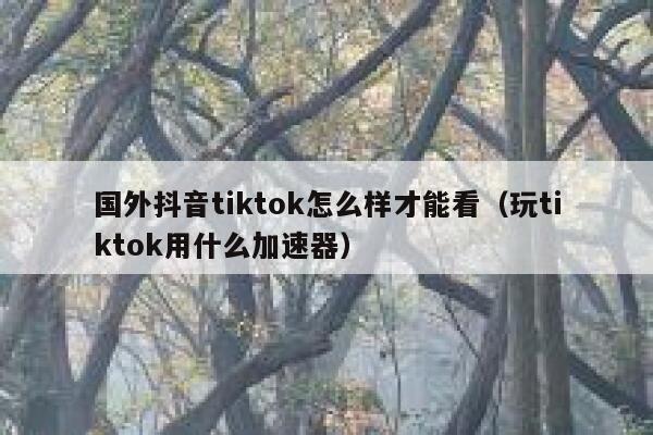 国外抖音tiktok怎么样才能看（玩tiktok用什么加速器） 第1张