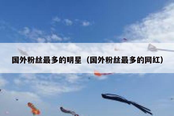 国外粉丝最多的明星（国外粉丝最多的网红） 第1张