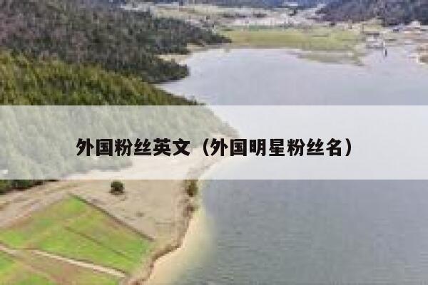 外国粉丝英文（外国明星粉丝名） 第1张