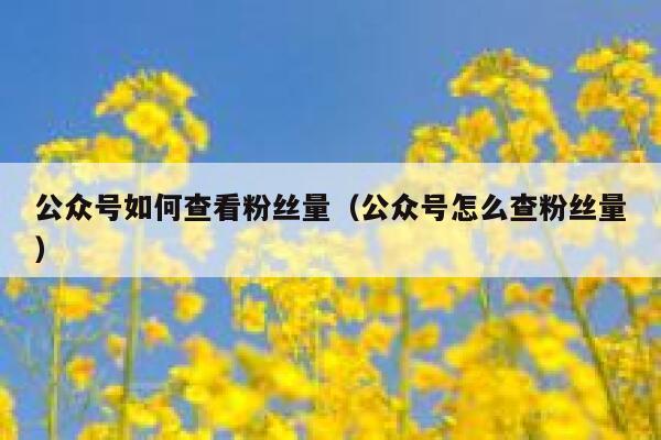 公众号如何查看粉丝量（公众号怎么查粉丝量） 第1张