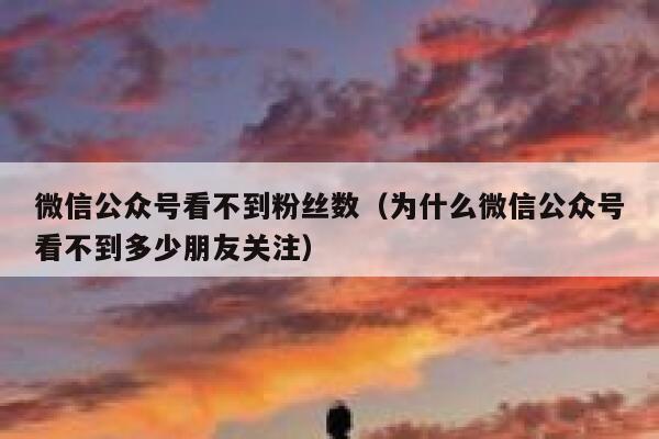 微信公众号看不到粉丝数（为什么微信公众号看不到多少朋友关注） 第1张