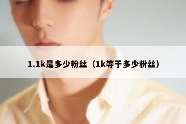 1.1k是多少粉丝（1k等于多少粉丝） 第1张