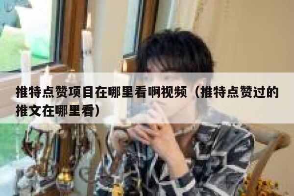 推特点赞项目在哪里看啊视频（推特点赞过的推文在哪里看） 第1张