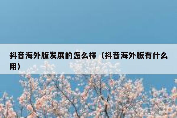 抖音海外版发展的怎么样（抖音海外版有什么用） 第1张