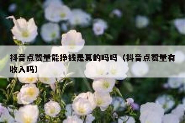 抖音点赞量能挣钱是真的吗吗（抖音点赞量有收入吗） 第1张