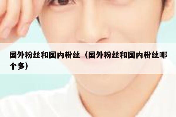 国外粉丝和国内粉丝（国外粉丝和国内粉丝哪个多） 第1张