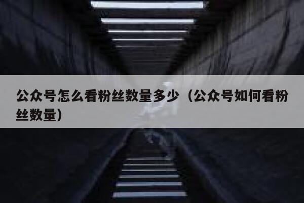 公众号怎么看粉丝数量多少（公众号如何看粉丝数量） 第1张