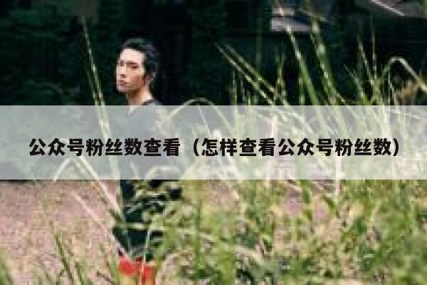 公众号粉丝数查看（怎样查看公众号粉丝数） 第1张