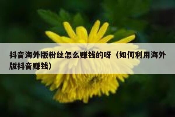 抖音海外版粉丝怎么赚钱的呀（如何利用海外版抖音赚钱） 第1张