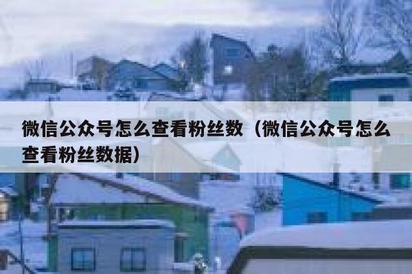 微信公众号怎么查看粉丝数（微信公众号怎么查看粉丝数据） 第1张