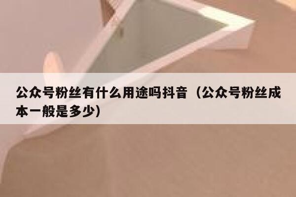 公众号粉丝有什么用途吗抖音（公众号粉丝成本一般是多少） 第1张