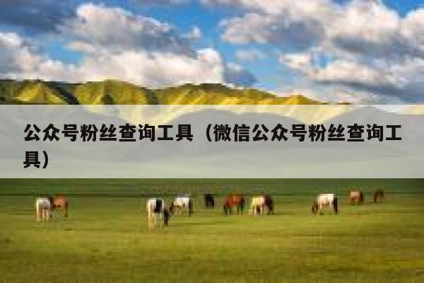 公众号粉丝查询工具（微信公众号粉丝查询工具） 第1张