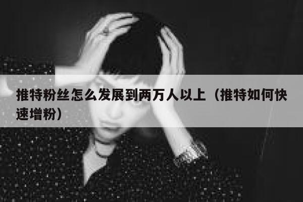 推特粉丝怎么发展到两万人以上（推特如何快速增粉） 第1张