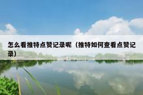 怎么看推特点赞记录呢（推特如何查看点赞记录） 第1张