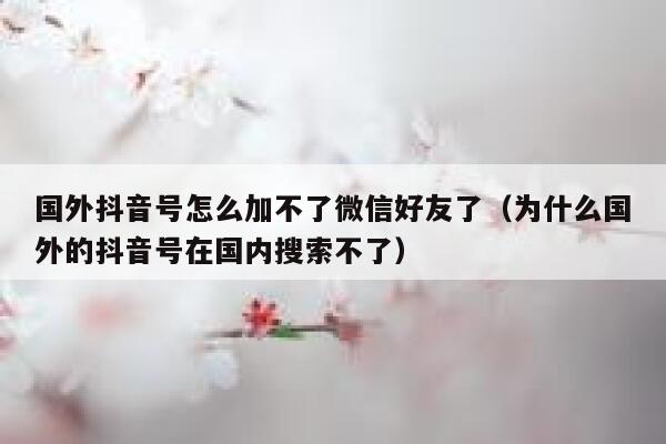 国外抖音号怎么加不了微信好友了（为什么国外的抖音号在国内搜索不了） 第1张