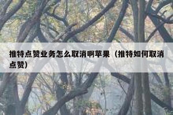 推特点赞业务怎么取消啊苹果（推特如何取消点赞） 第1张
