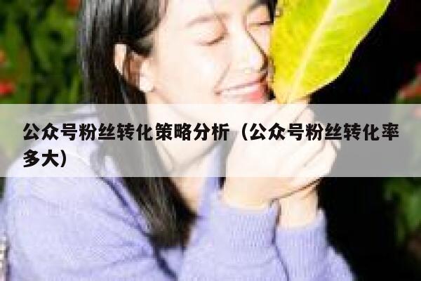 公众号粉丝转化策略分析（公众号粉丝转化率多大） 第1张