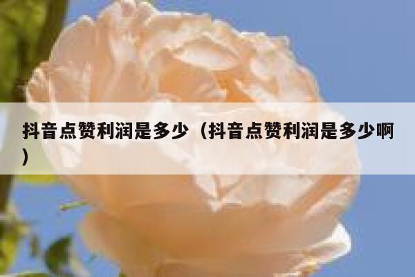 抖音点赞利润是多少（抖音点赞利润是多少啊） 第1张