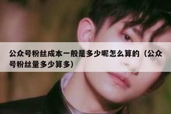 公众号粉丝成本一般是多少呢怎么算的（公众号粉丝量多少算多） 第1张