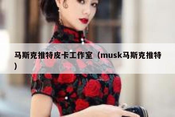 马斯克推特皮卡工作室（musk马斯克推特） 第1张