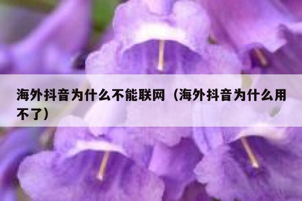 海外抖音为什么不能联网（海外抖音为什么用不了） 第1张