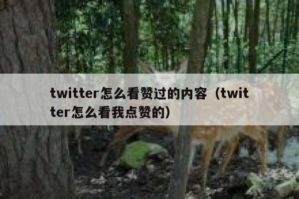 twitter怎么看赞过的内容（twitter怎么看我点赞的） 第1张